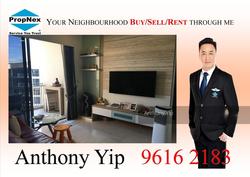 Palm Isles (D17), Condominium #146184842